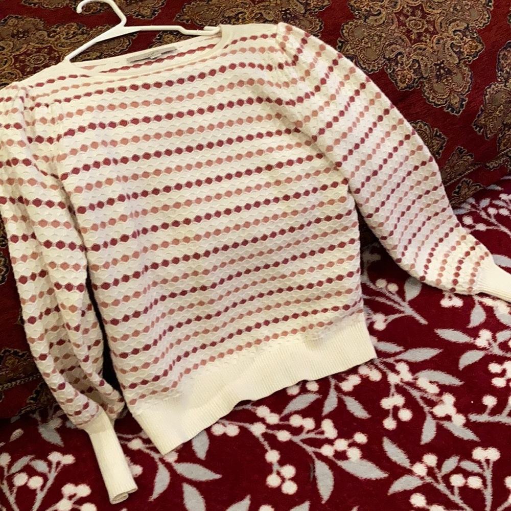 Sweater this season fits a small